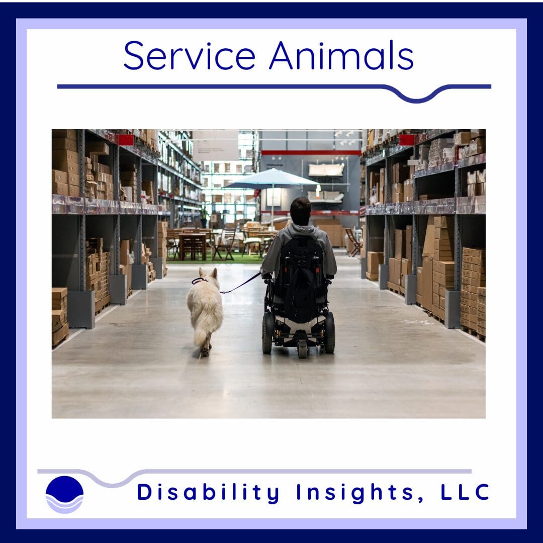 a man using a wheelchair rolling down a store isle with his service dog walking next to him