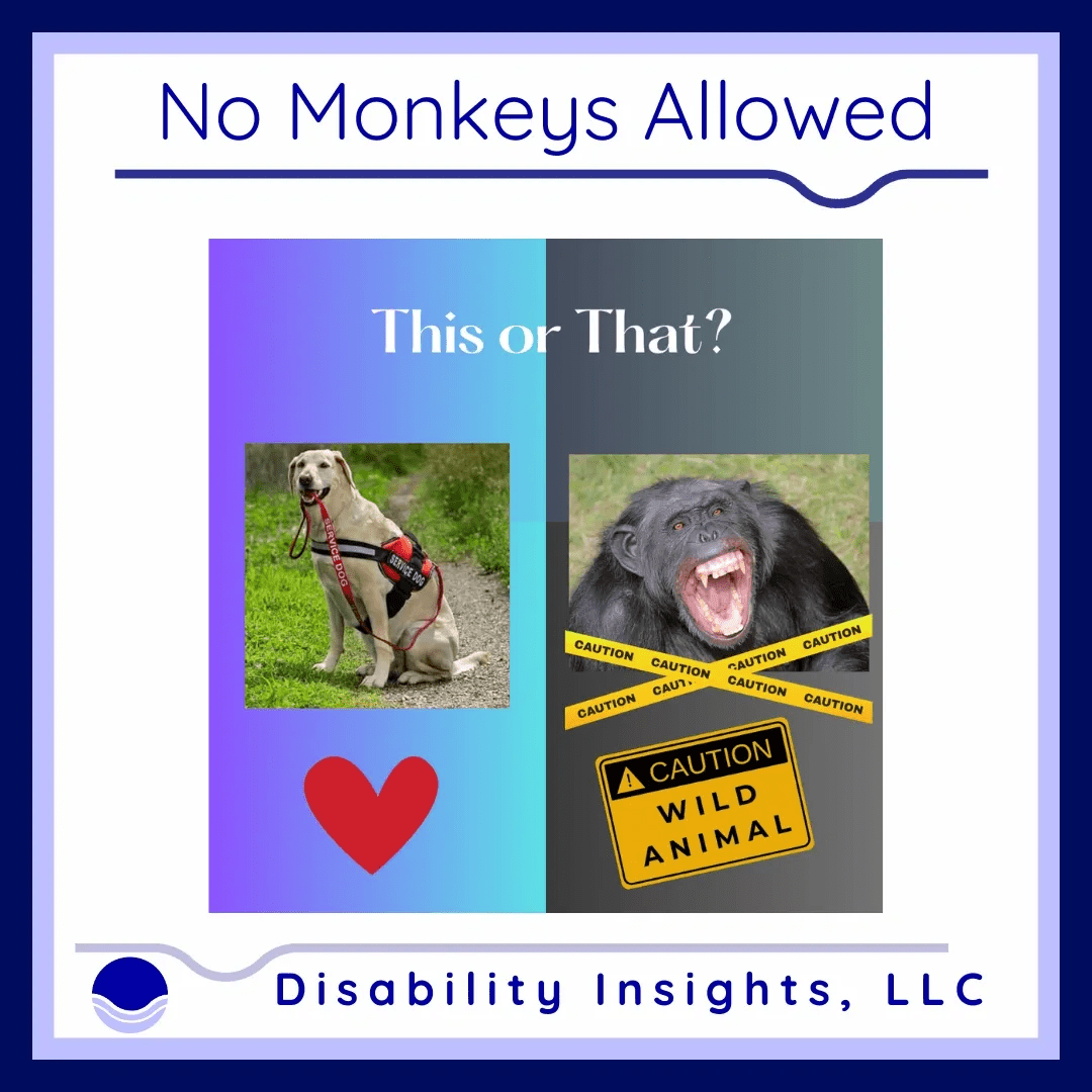 split screen with a service animal on the left and an angry monkey on the right with the words this or that